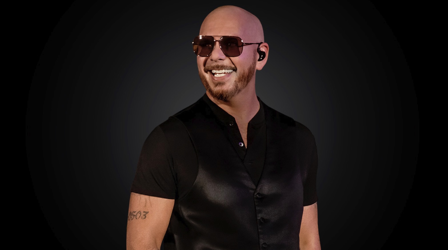 Pitbull Belfast